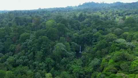 Aerial view of the Guegue waterfall in the middle of the dense green forest in Vidéo 331010322