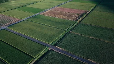 The aerial view of Hakusan in Japan. Stock Footage 113809692