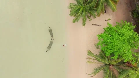 Aerial view of hammocks floating in calm waters at dawn, Koh Kood, Thailand Stock Footage 310524468