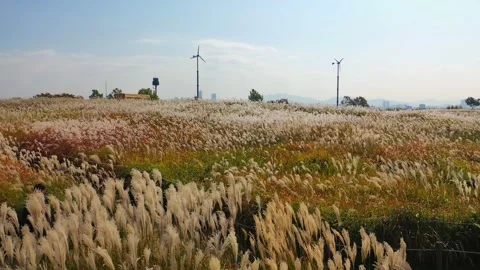 Aerial View of Haneul Park in Seoul, South Korea Stock Footage 294653473