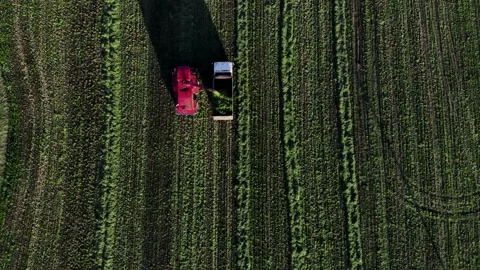 Aerial view of harvest fields with combine Stock Footage 132899897