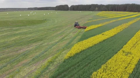Aerial view of harvest fields with tractor in Poland. Vídeos de archivo 120939465