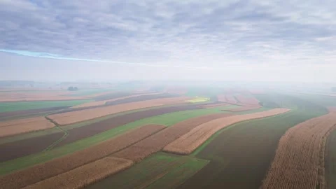 Aerial view of harvested cornfields and farmland in autumn Stock Footage 319387108