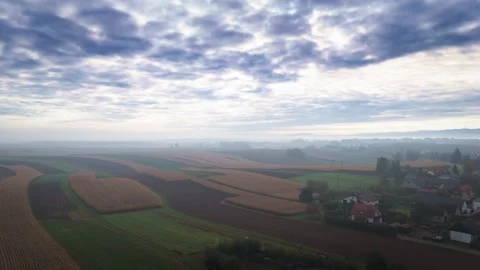 Aerial view of harvested cornfields and farmland in autumn Stock Footage 319387144