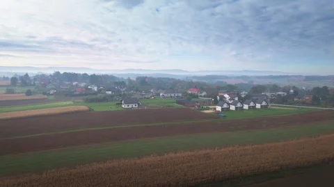 Aerial view of harvested cornfields and farmland in autumn Stock Footage 319387525