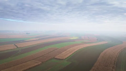Aerial view of harvested cornfields and farmland in autumn Stock Footage 319387603