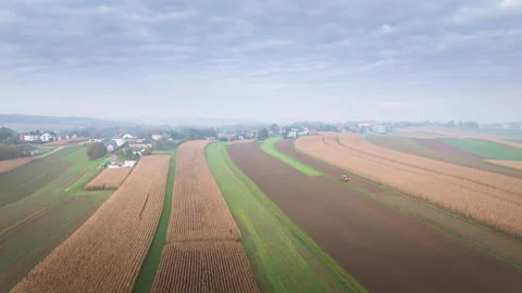 Aerial view of harvested cornfields and farmland in autumn Stock Footage 319388122