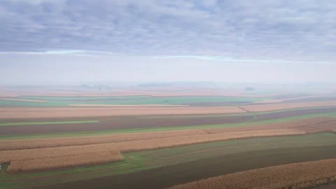 Aerial view of harvested cornfields and farmland in autumn Stock Footage 319388635