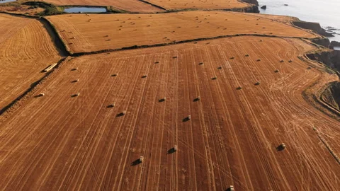 Aerial View of Harvested Fields With Hay Bales Near Coastal Cliffs, Drone Stock-Footage 343752397