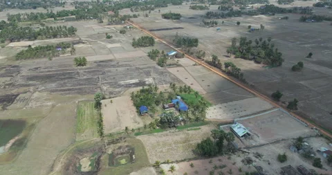Aerial view: harvested fields, palm-shaded houses, and a rural dirt road. 스톡 동영상 335539950