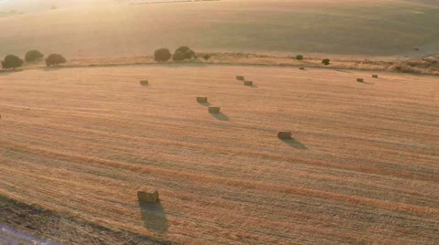 Aerial view of Hay bales on the field after harvest at sunset Stock Footage 52542853