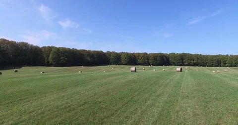 Aerial View Hay Feild Round Bales Stock Footage 120179720
