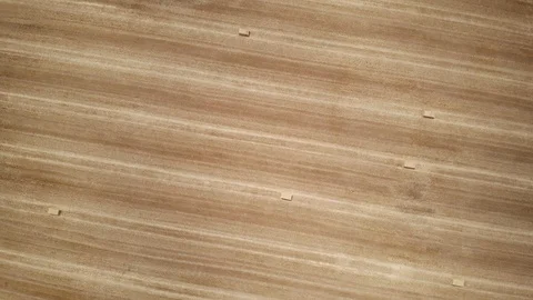 Aerial View Of Hay Fields In Spain During Summer Season Stock Footage 114772961