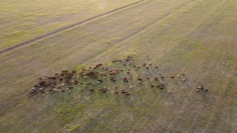 Aerial view of the hay stack field Stock Footage 171143262