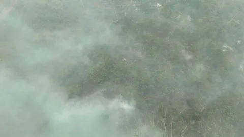 Aerial view of haze caused by forest fires in West Kalimantan. Stock Footage 344537604
