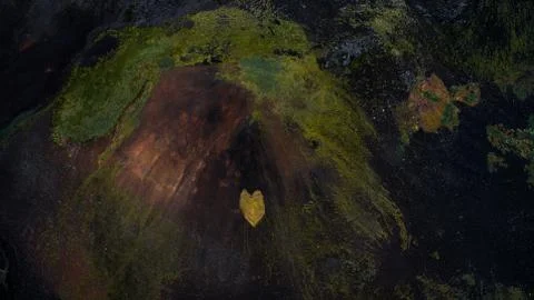 Aerial view of a heart shaped patch of grass on a mountain. Love symbol textures Stock Photos