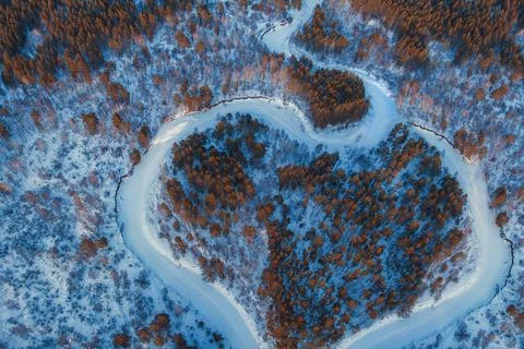 Aerial view of a heart shaped winter forest Stock Photos