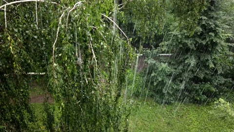 Aerial view of the heavy fall of rain Video stock 134308064
