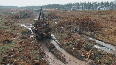 Aerial view of heavy machine moves over Deforestation Stock Footage