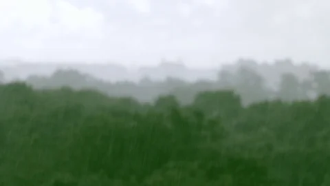 Aerial view on heavy rain above the green forest trees. Stock Footage
