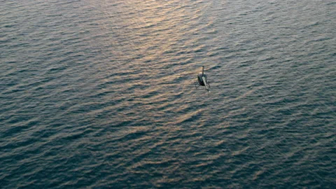 Aerial view of helicopter flying over ocean shoreline city with mountains in the Stock Footage 199462037