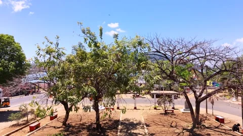 Aerial view of Hell-Ville harbor and port, Nosy Be, Madagascar Vidéo 325561664
