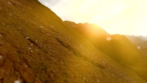 Aerial view of herd of sheep animals in the mountain landscape scenery Stock Footage 72870189