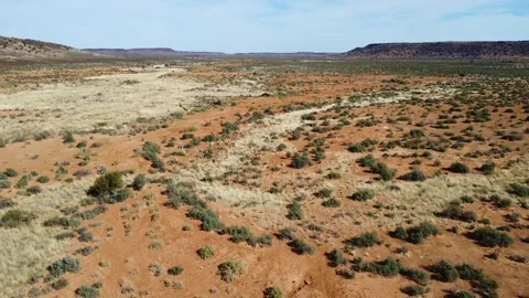 Aerial view of a herd of springbok running across a dry landscape with sparse Stock Footage 308961977
