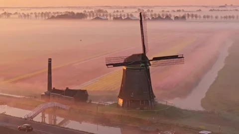 Aerial view of heritage windmill with radiant tulips at sunrise, Holland Stock Footage 313367405
