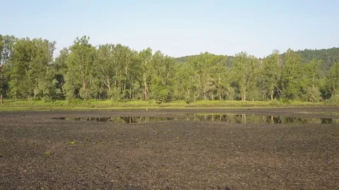 Aerial view of Heron on the river shallow 4k Stock Footage 78448987