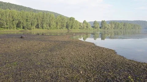 Aerial view of Heron on the river shallow 4k Stock Footage 78500404