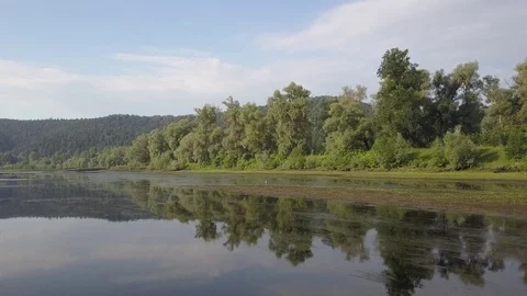 Aerial view of Heron on the river shallow 4k Stock Footage 78504787