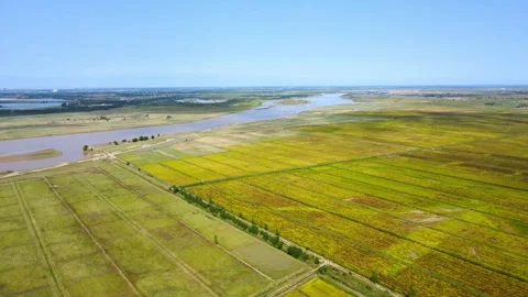 Aerial View of Hetao Plain, Yellow River and Fields in Autumn10 Stock Footage 295866554