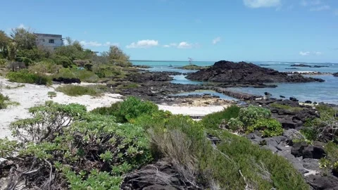 Aerial view of hidden gem — wild tropical paradise with coral reef, Mauritius Stock Footage 304040429