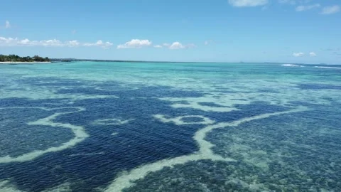 Aerial view of hidden gem — wild tropical paradise with coral reef, Mauritius Stock Footage 304042496