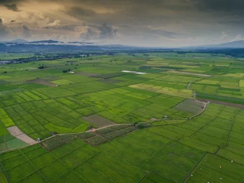 Aerial view high angle view of Field in Thailand 스톡 사진