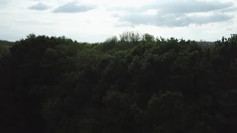 Aerial View of High Forested Green Hills Near a City Video stock 300471636