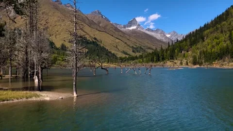Aerial view of high mountain blue lake dead tree mixed forest distant mountain Video stock 337926336