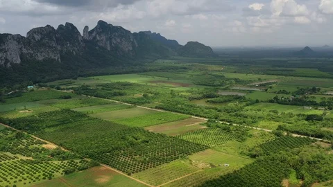 Aerial view. High mountain views and the verdant farmland of the countryside Stock Footage 111906053