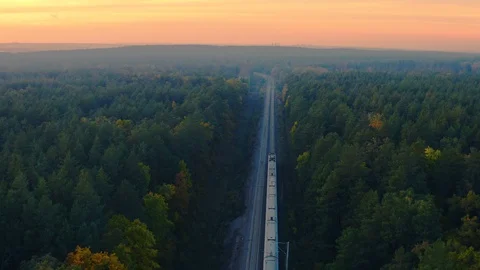 Aerial view of high-speed train moving through the autumn forest at sunset Stock Footage 96460828
