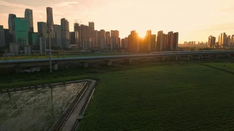 Aerial view of a high speed train travels on an elevated track past tall Stock-Footage 345243153