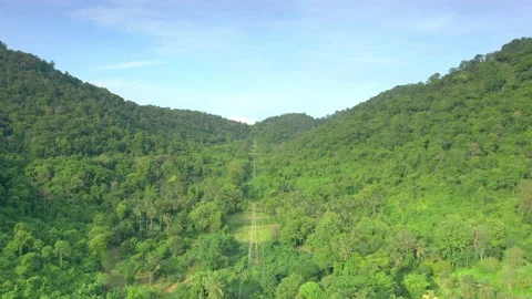 Aerial View of High Voltage Power Poles, Power Line Towers in Landscape, Fore Stock Footage 194407007