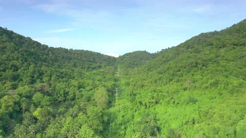 Aerial View of High Voltage Power Poles, Power Line Towers in Landscape, Fore Stock Footage 196167680