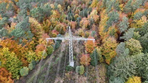Aerial view of high voltage power lines running through colorful autumn forest Video stock 327973465