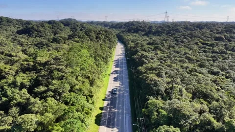 Aerial View of Highway Cutting Through Atlantic Forest in Brazil 動画素材 344582527