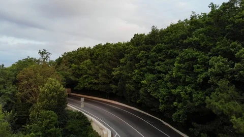Aerial view of highway, forest and sea. Stock Footage 118164877