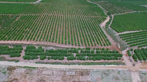 Aerial view of the highway in the middle of fields Stock Footage 54329890