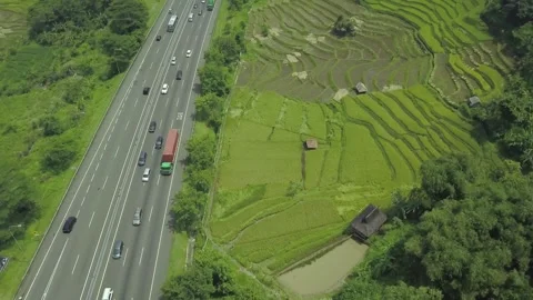 Aerial View of Highway Running Alongside Traditional Terraced Rice Fields. Vídeo Stock 334763123