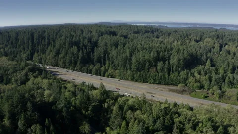 Aerial View of Highway Through Forest Stock Footage 149711186