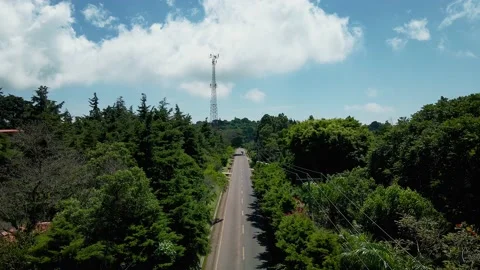 Aerial View Of A Highway With Tree Cover Stock Footage 146936331